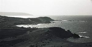 CAP FALCON (1066)